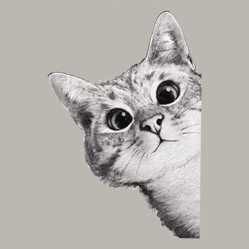 

Термоклейкая переводная наклейка с изображением милого кота для детской и взрослой одежды