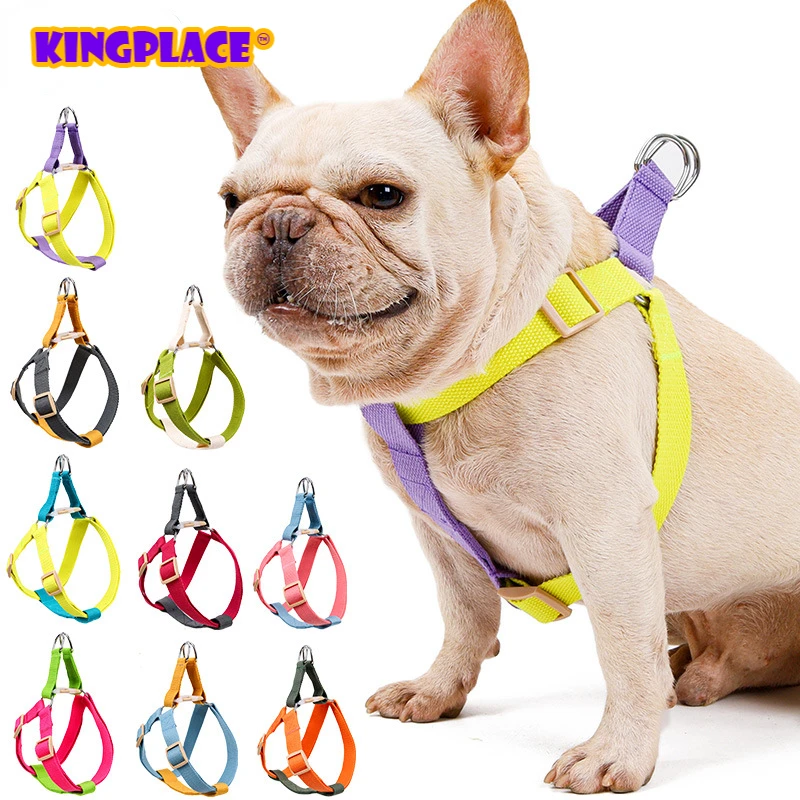 

Rainbow Pet Harness Suit Color Matching Vest-Style Anti Breaking Loose Dog Breast Strap Hand Holding Rope Cotton Dog Harness