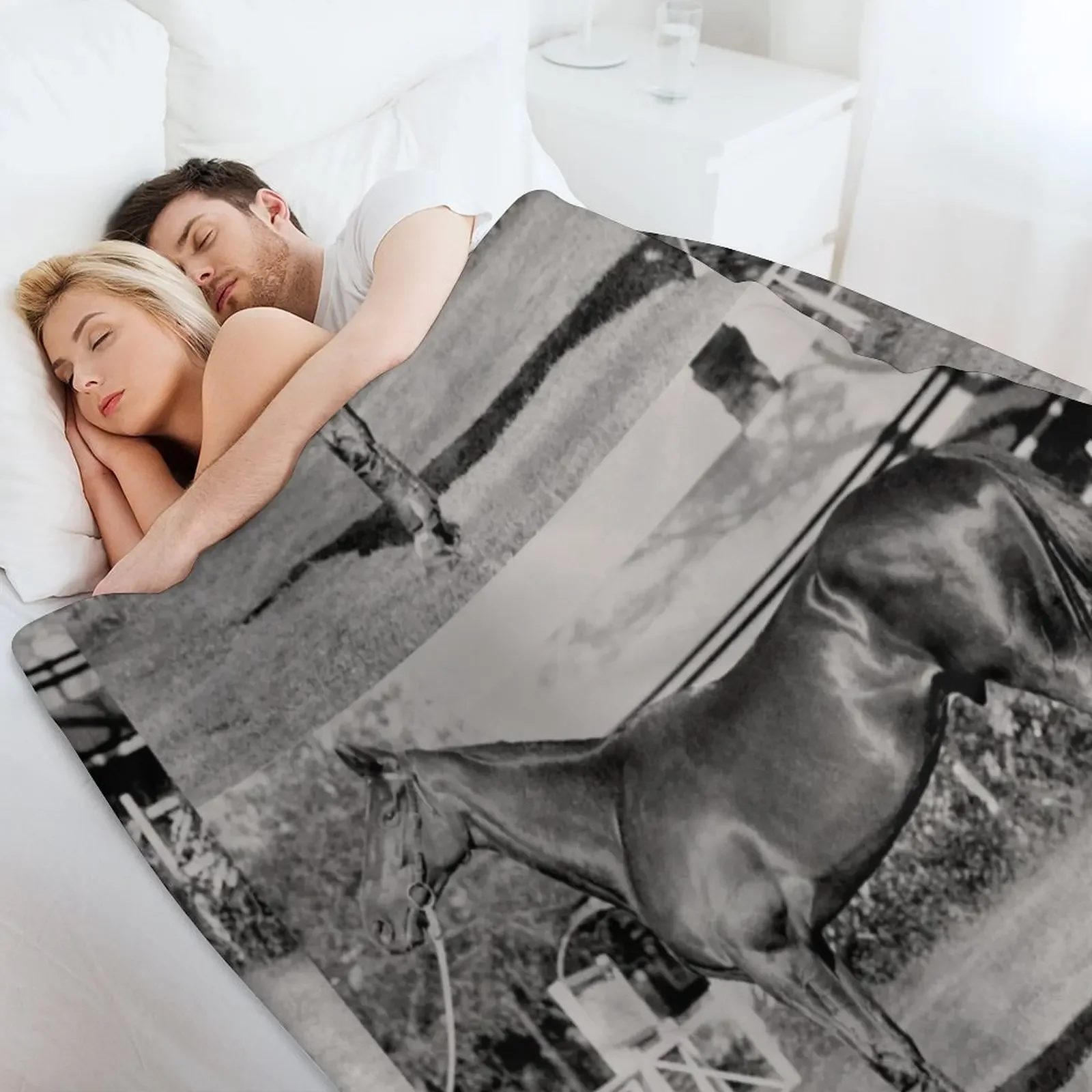 Чемпион австралийской гоночной лошади Phar Lap. Плед плед на диван Симпатичные