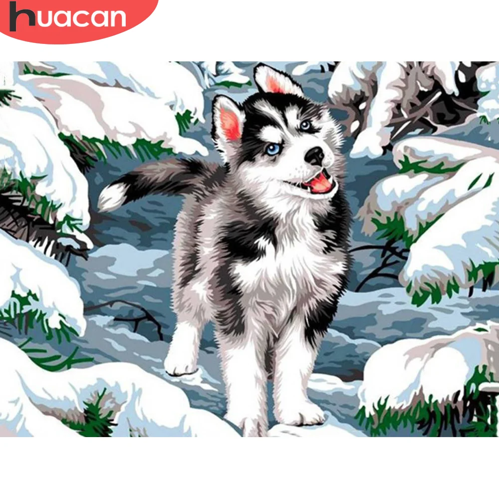 

Набор для алмазной вышивки «сделай сам» HUACAN 5D