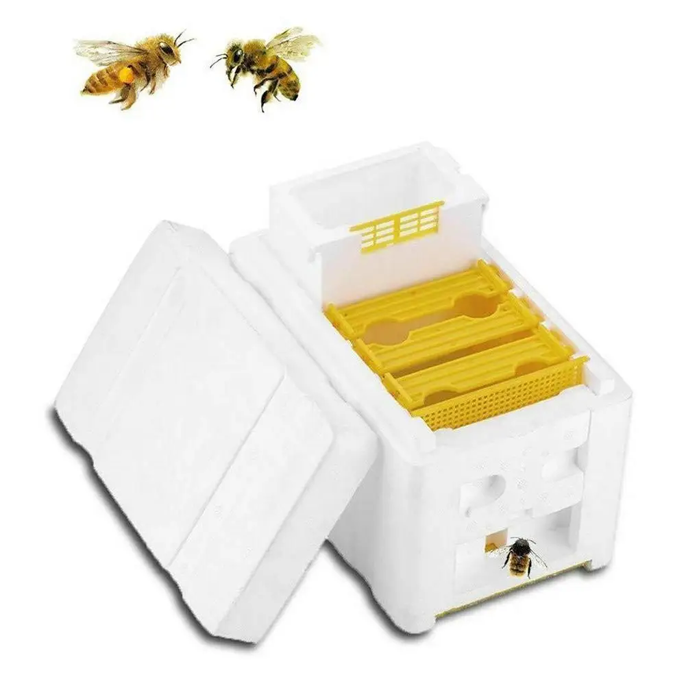 

Queen Bee Rearing Mating Beehive Beekeeping Tool Foam Pollination Box Bee Breeding Foam Box Beekeeping Equipment