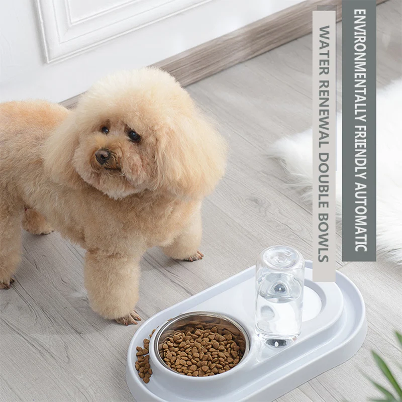 

Double Pet Bowl Automatic Water Feeder Food Dishes With Raised Stand For Dog Cat Protection Cervical Pets Feeding Drinking Bowls