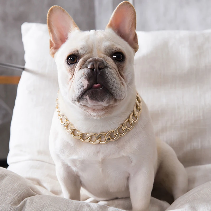  Cool French Bulldog Necklace Dog Collar Luxury Dog CollarPet Dog Mass Rap Hip Hop Cuban Chain Big Gold Chain Pechera