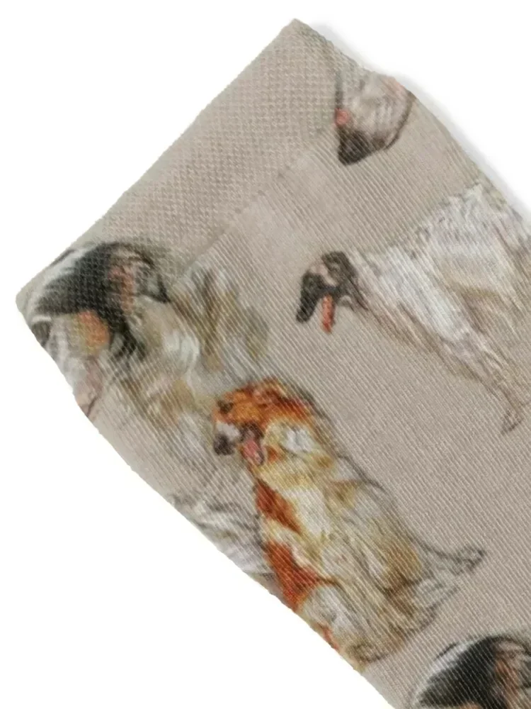 Носки Borzoi Gallimaufry летние забавные подарочные спортивные женские носки мужские