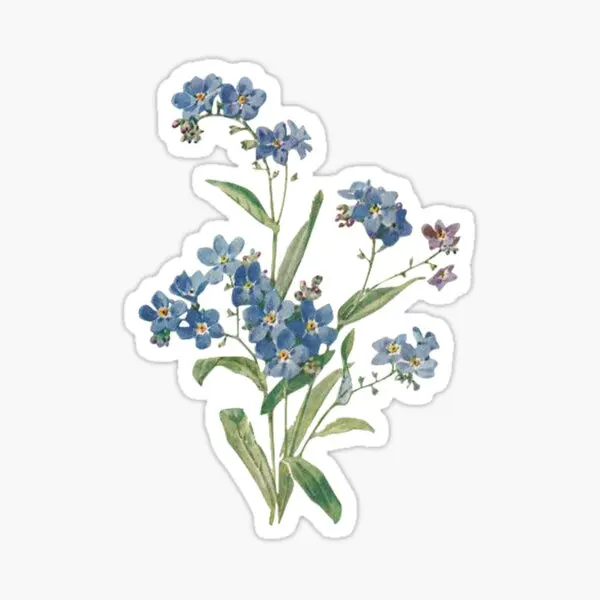 

Forget Me Not Design Transparent 5PCS Stickers for Cute Background Wall Window Stickers Funny Art Laptop Luggage Car
