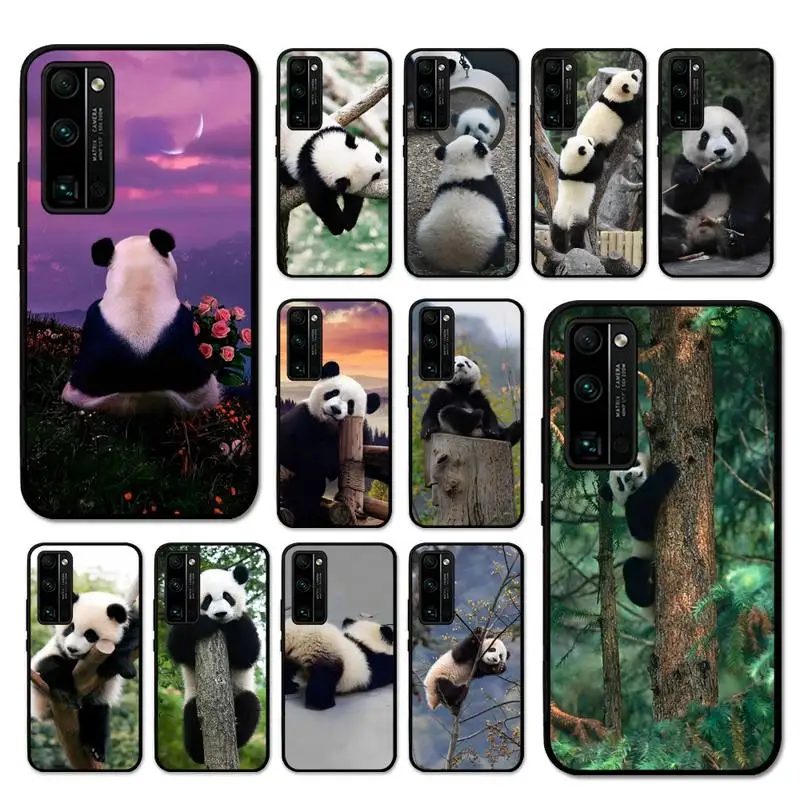 

Cute Animal Panda Phone Case For Huawei Honor V30 30 9X 7A Pro View 20 10 9 Lite 10I 8C 8X 5A Play Cover