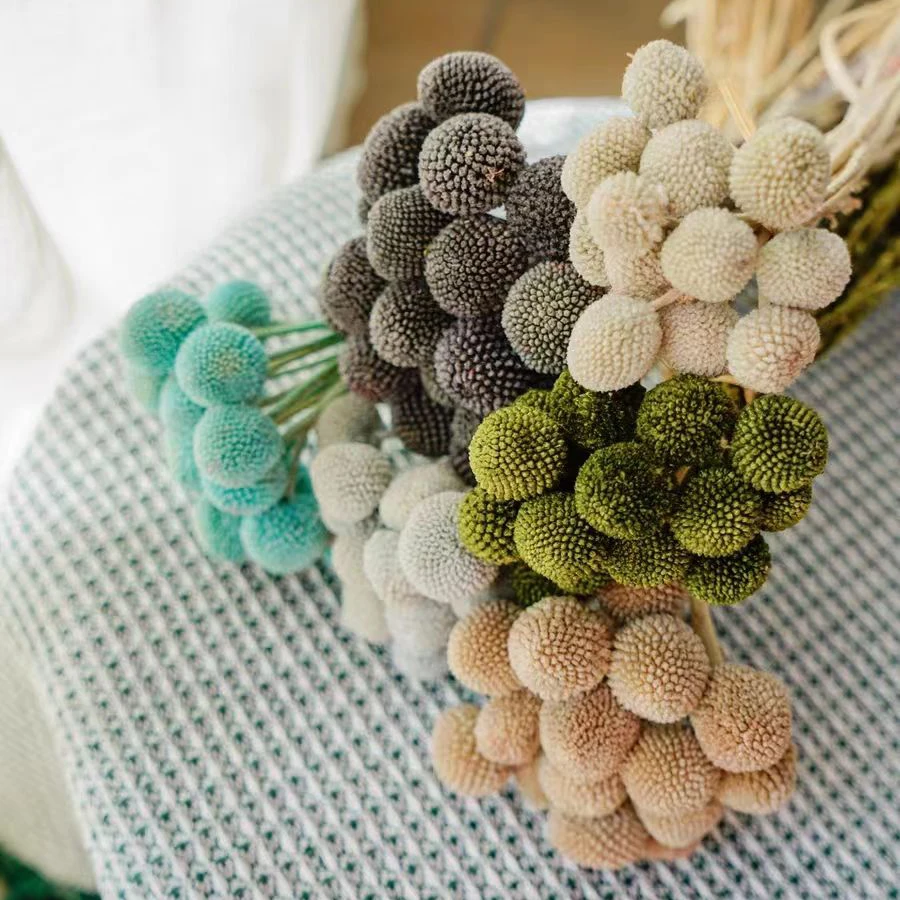 Оптовая продажа искусственная для вазы сушеные цветы в стиле бохо шары Билли