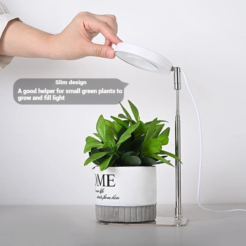 Искусственный Цветок Растение Бонсай Выдвижной Столб Сочный Наполнитель Модель