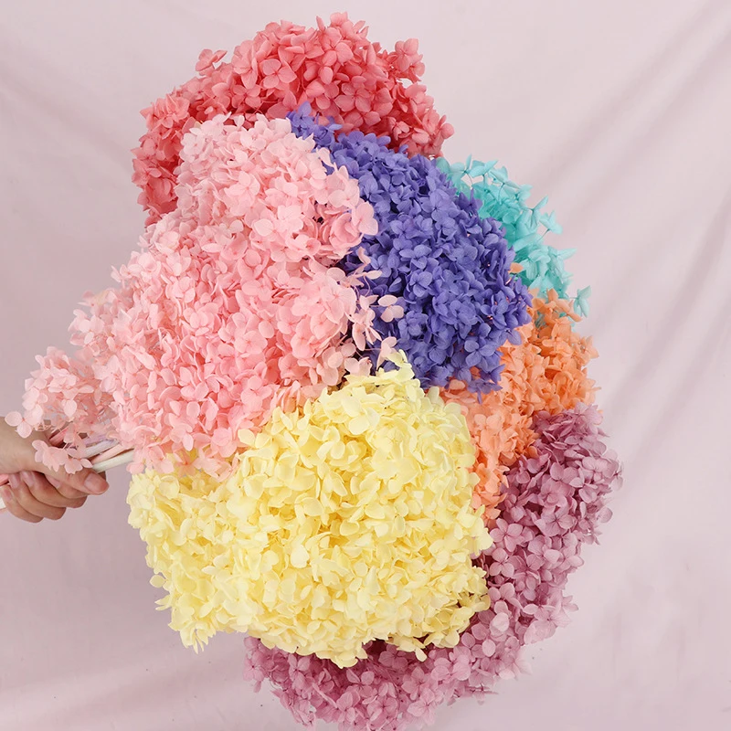 

20-25cm Head Natural Preserved Anna Hydrangea With Stem Eternal Display Flower Bunch For Wedding Home Decoration Accessories