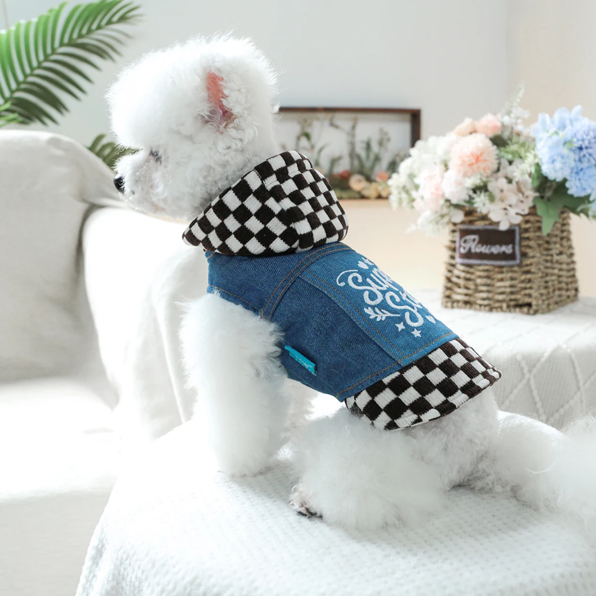Одежда для домашних собак Весенне-осенняя коричнево-белая джинсовая шапка Kori со