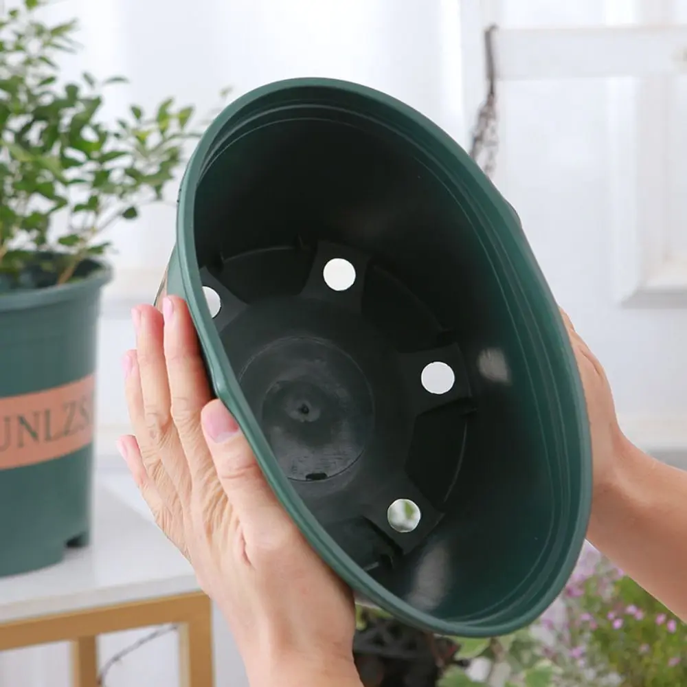 Черный зеленый двор орхидея офисное украшение для дома бытовой галлон бассейн