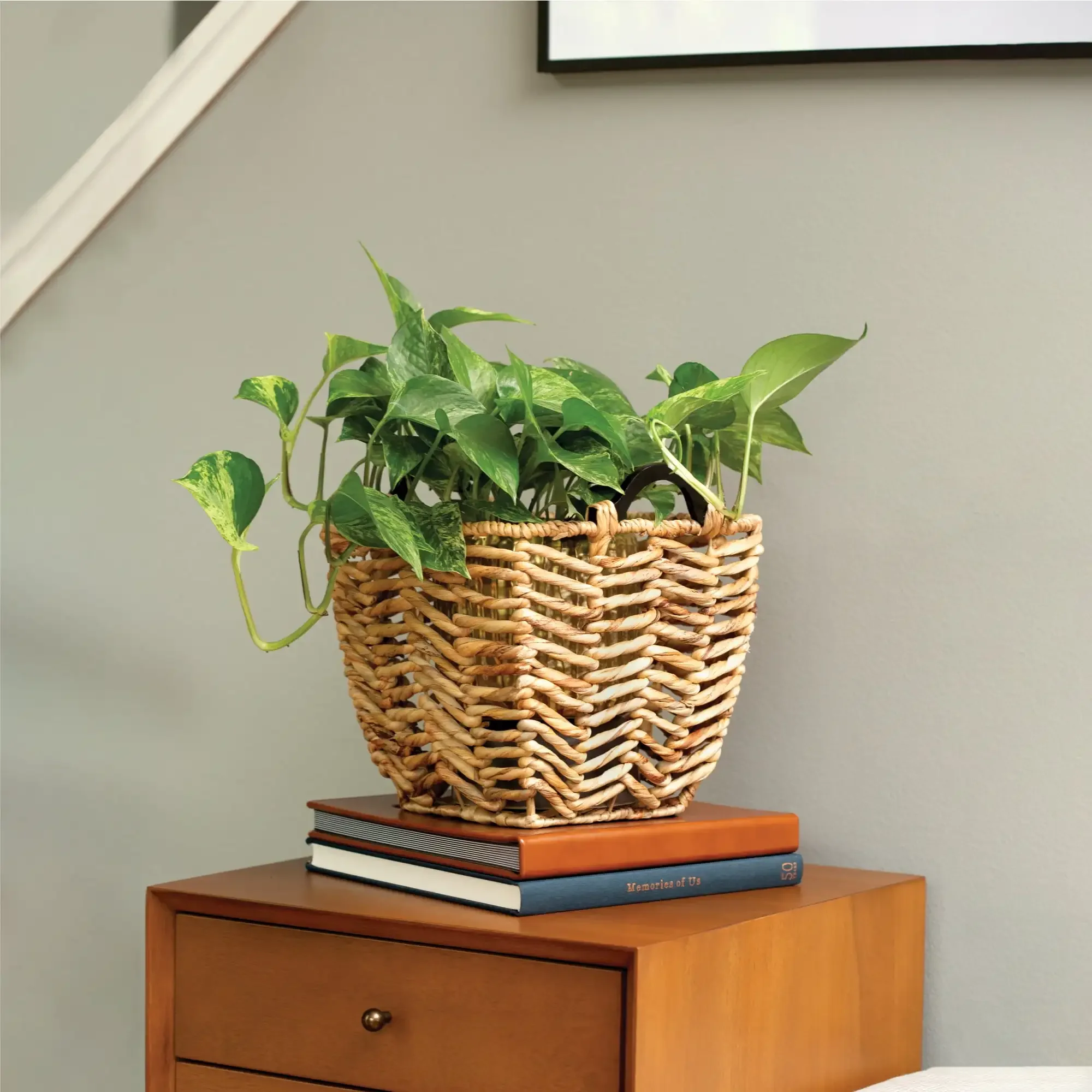 

Natural Brown Seagrass Storage Basket with Wooden Handles， storage baskets Rapid Transit