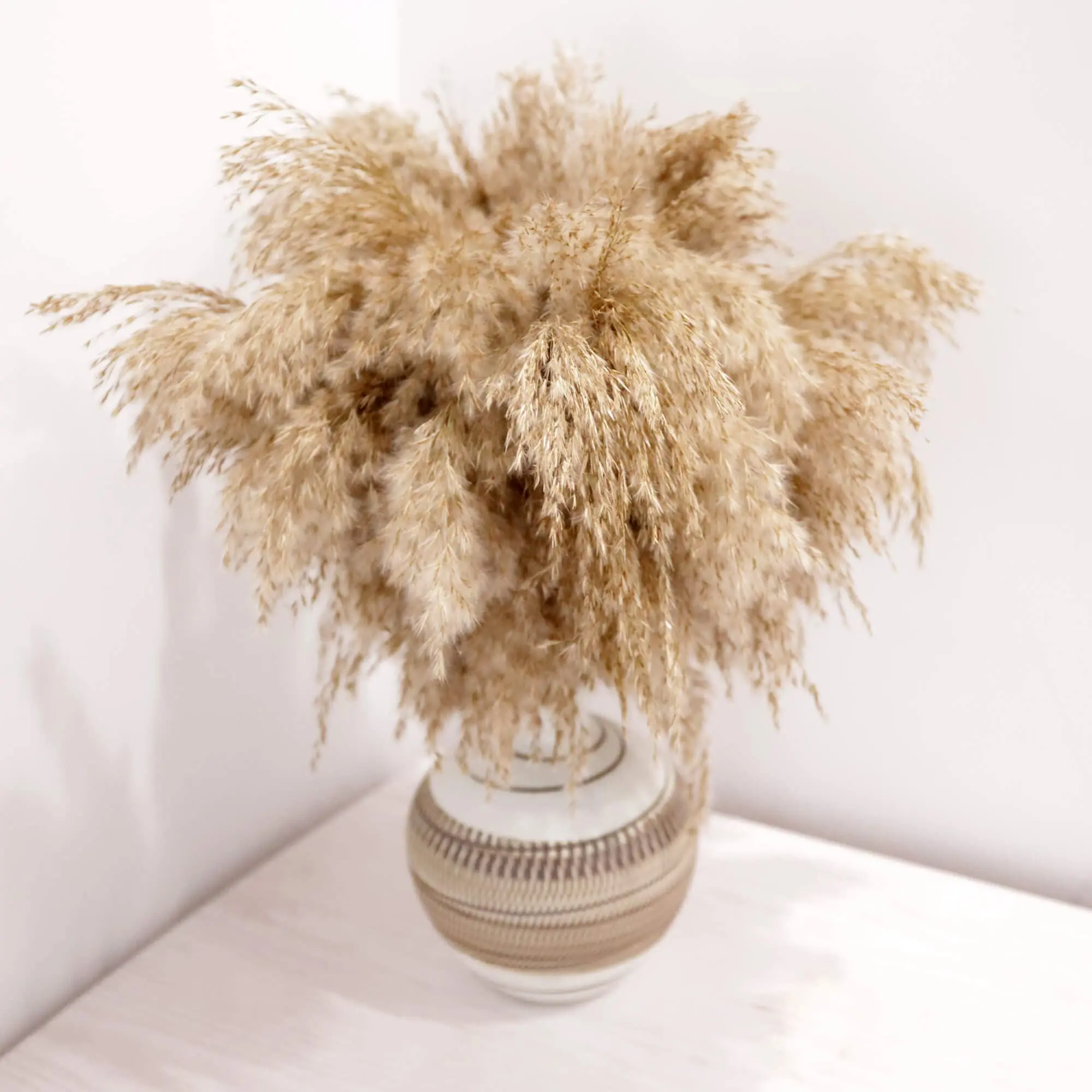 

Boho Home Decor Bouquet Natural Dried Plants Pampas Grass Wedding Decor Floral Arrangements Home Living Room Table Decoration