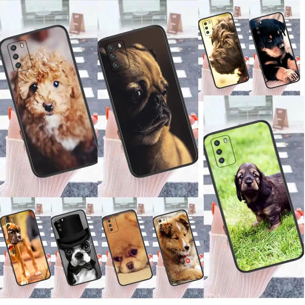 Mobile Pouch Cover Shell Brown White Puppy Dog For iPhone 13 12 11 Pro Max 8 6S 7 Plus XS XR Mini 5S SE 2022 7P 6P New Released