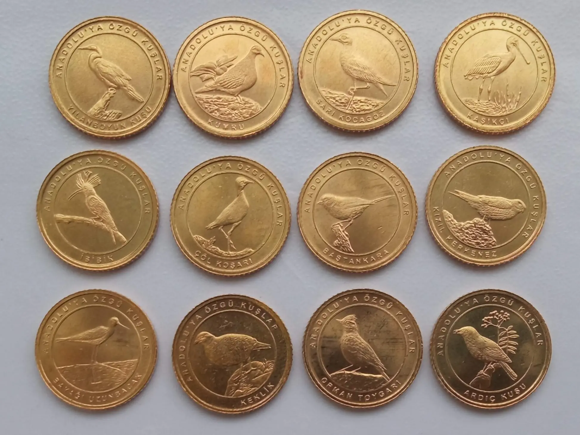 Юбилейные монеты Турция 1 куруш 2021. Анталийские птицы. Набор 12 шт |