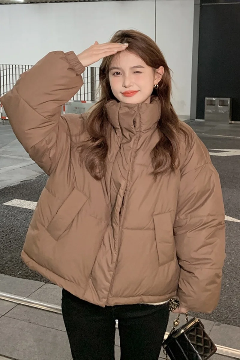 Short Down Coat Women Stand Collar Sweater Coat For Women Winter Thickened Thermal Insulation Design Jacket Female
