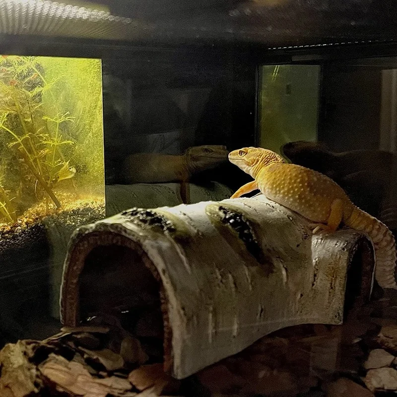 Искусственная пещера для рептилий укрытие террариума украшение дома домашних
