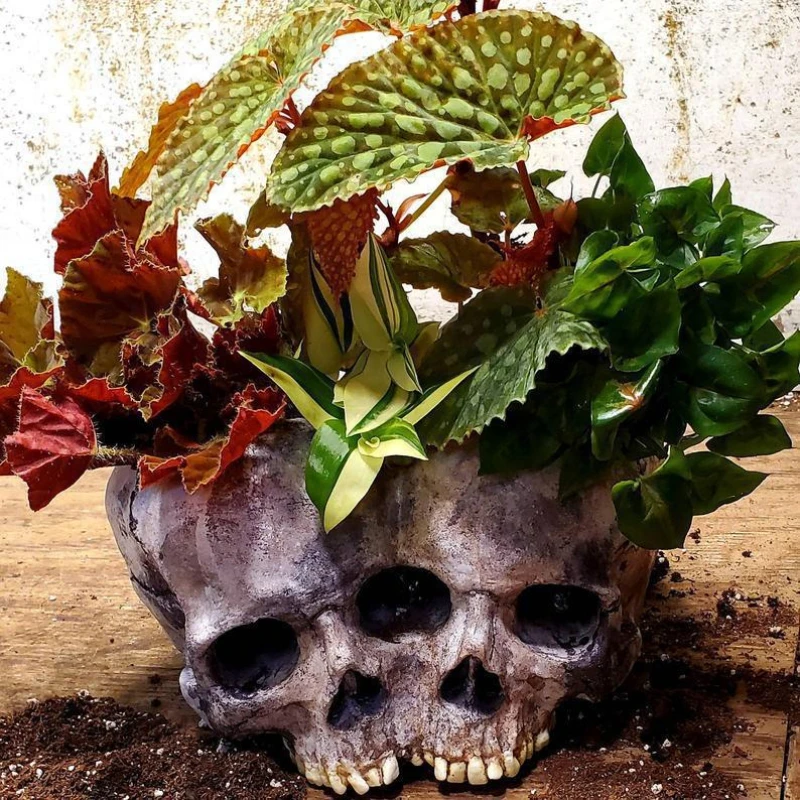 

Retro Skull Ornament Resin Flowerpot Idyllic Outdoor Garden Decoration Horror Halloween Skull Decoration Crafts