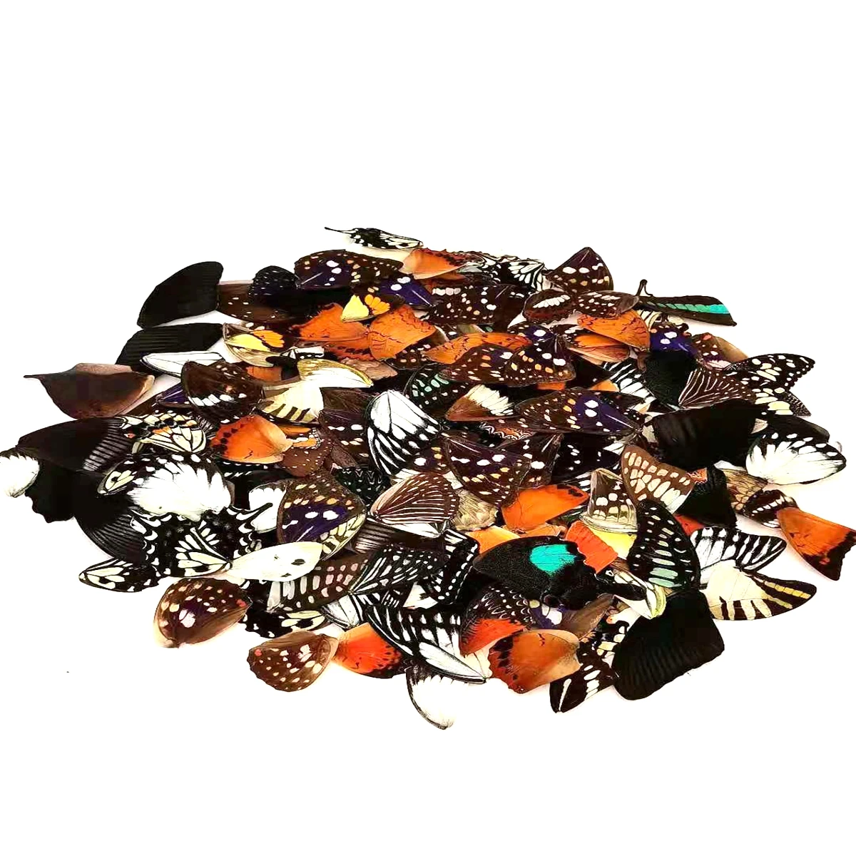 

Натуральные крылья бабочек, набор 100 шт.