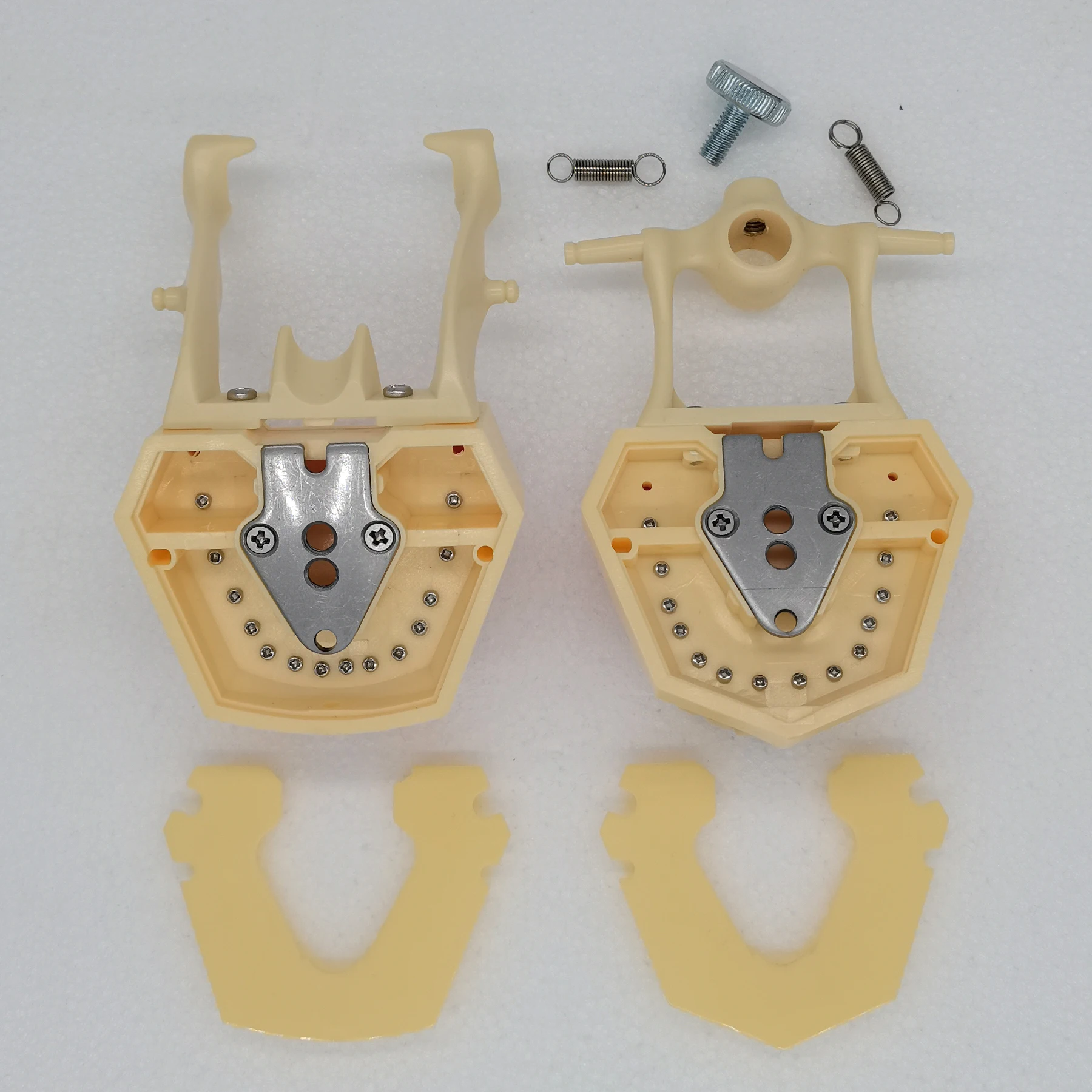 Frasaco ANKA-4 Typodont Fit Dental 28 шт. ввинчивающаяся модель зубов практика наполнение