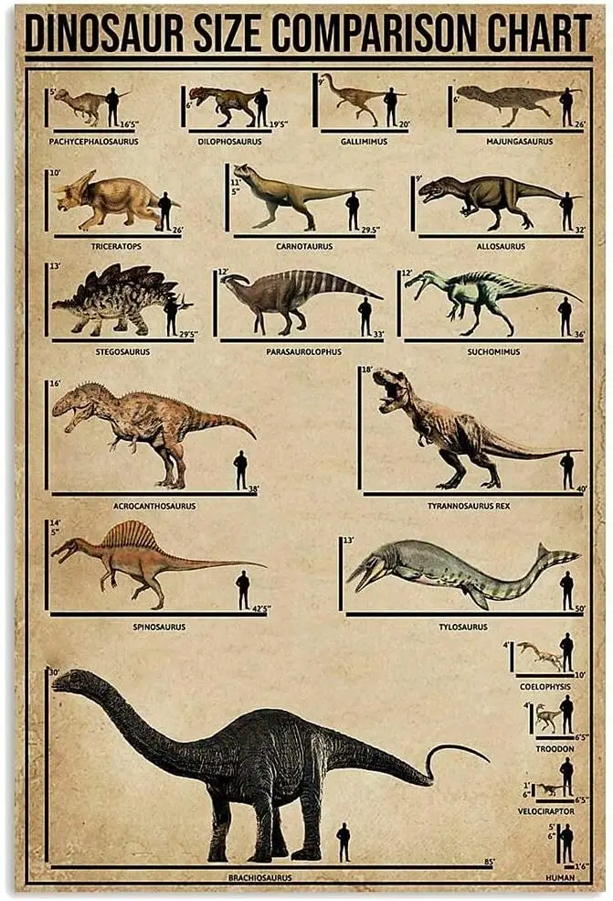 

Металлический знак динозавр знания о размере оловянный плакат динозавр Таблица размеров Инфографика обучение школе ферме семейный декор стен