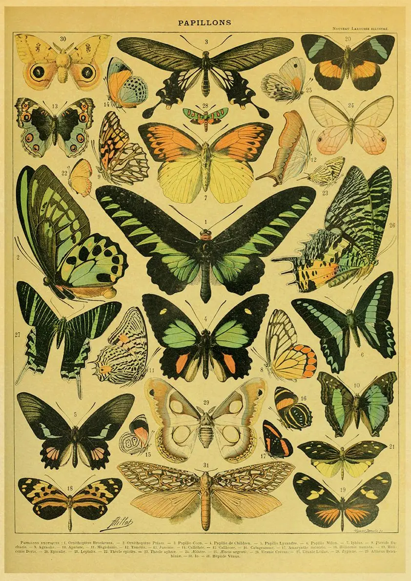 

Ретро плакат с растениями Snapseed