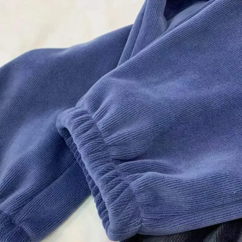 Большой размер плюс осень-зима бархатные утепленные повседневные спортивные