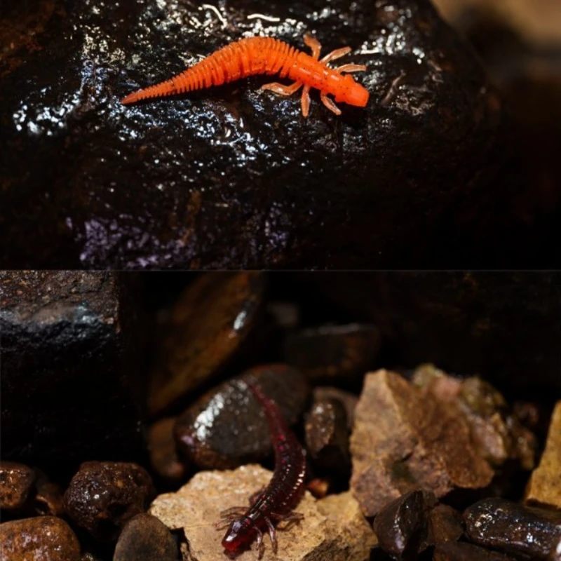 Фото Nymph Pin Tail Bugsy, универсальный для всех вод, поплавки для приманок, мягкий червь с черной ямой, мягкая приманка соленой нитью, Nide №5