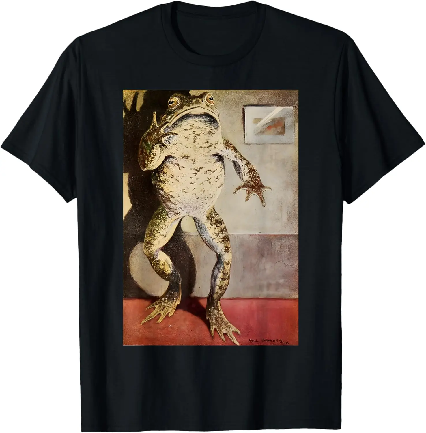 Крутая футболка с постером в виде лягушки эстетическая викторианская жабой