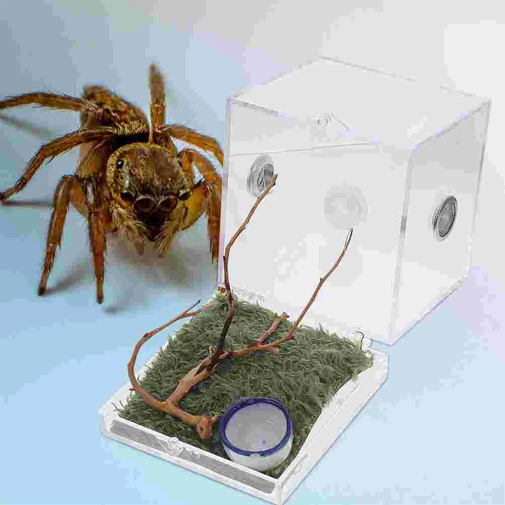 

2 Sets Spider Terrarium Jumping Box Insect Breeding Glass Containers Water Tank Case Reptile Acrylic Feeding Snail