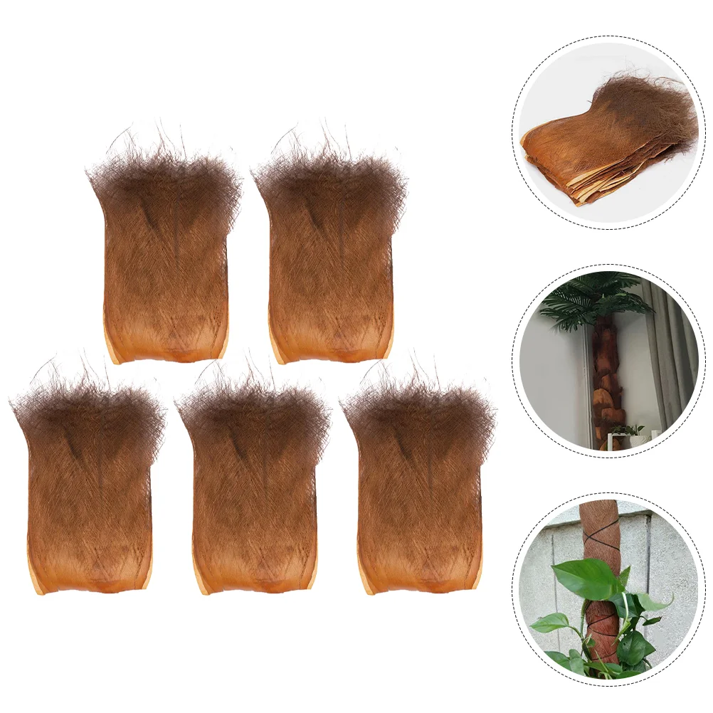 Терариум пальмовые растения натуральный садовый декор коричневый шелк