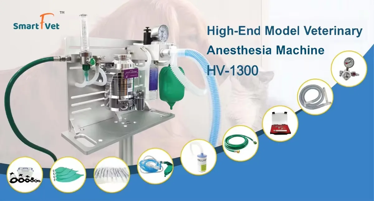 Ветеринарный инструмент Smartfvet прецизионная анестезизация испаритель клиника