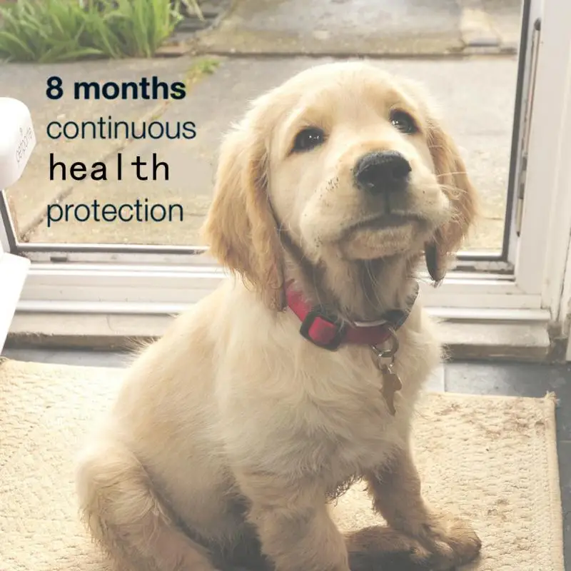 

Ошейник от блох и клещей для собак и кошек до 8 месяцев