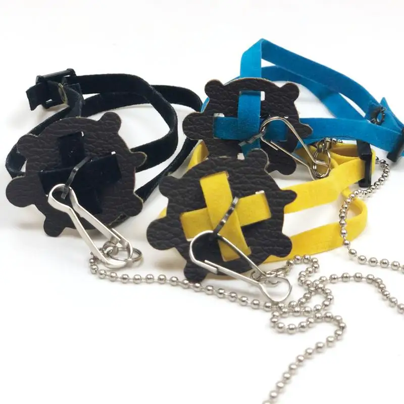 

Новый маленький поводок для черепахи