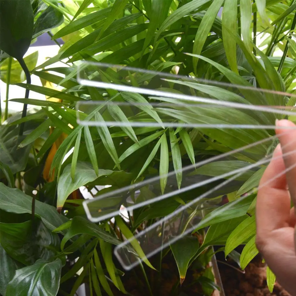 

24pcs Acrylic Plant Labels Nursery Markers Flower Pots Seedling Sign Mark Labels Succulent Flower Identifying Tags X3O9