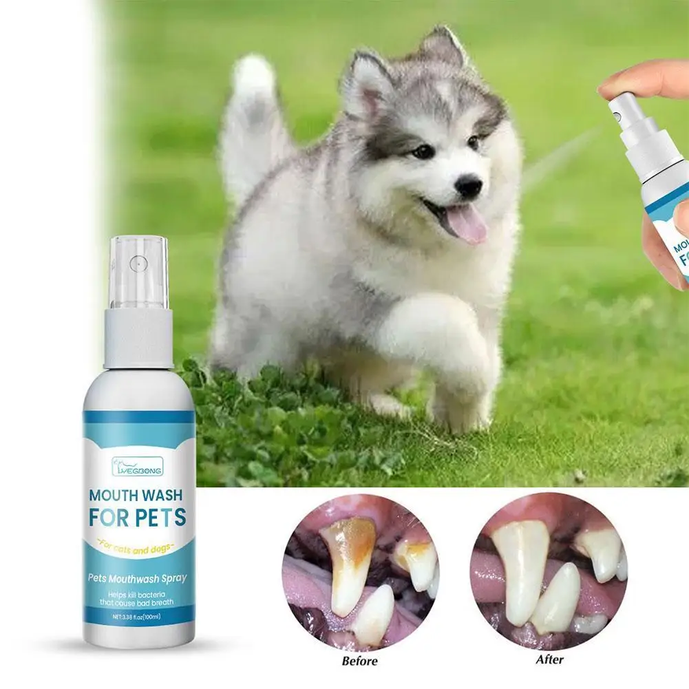 

100ml Pet Mouth Spray Yellow Teeth Mouth Cleaning Spray For Dogs And Cats For Eliminating Bad Breath And Prevent Oral Disea X0C0