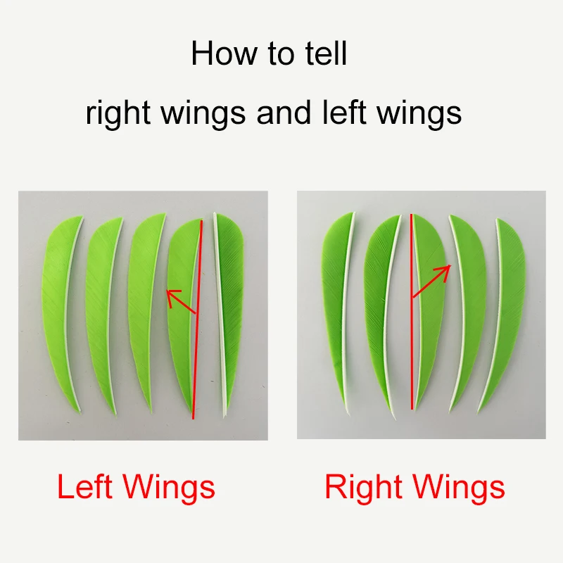 50 шт. 4-дюймовые перья индейки для травления стрел левое крыло параболические