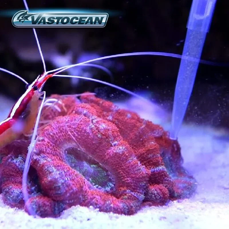 Кормушка для вавто океана сращенная удлиненная акриловая трубка кормления