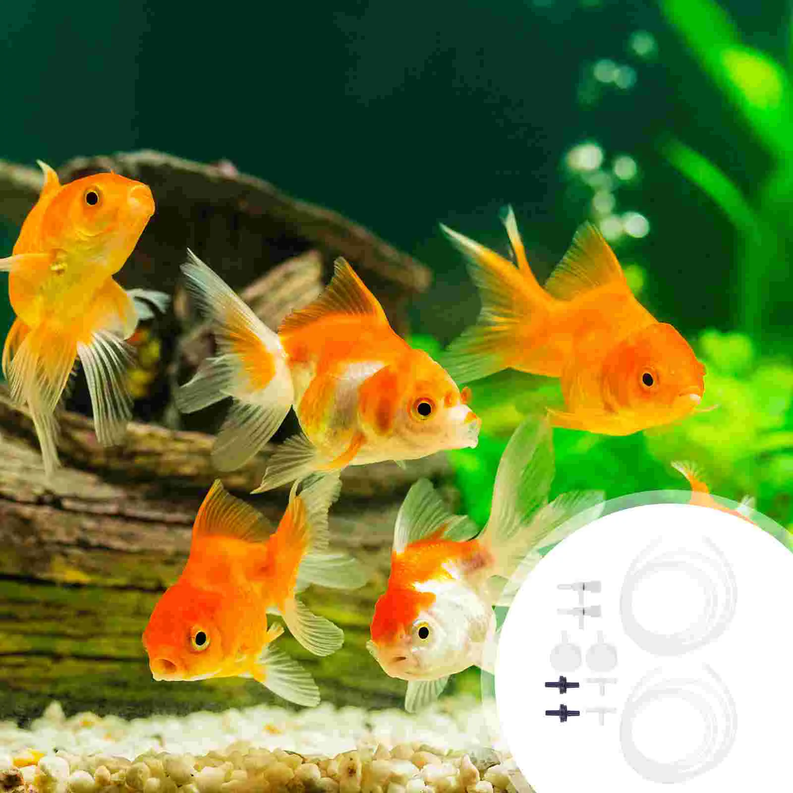 

Shrimp Hatching Artemia Diy Hatchery Kits Aquarium Soda Hatcher Incubator Brine Eggs Fish Kit Breeding Egg Tool Bottles Bottle