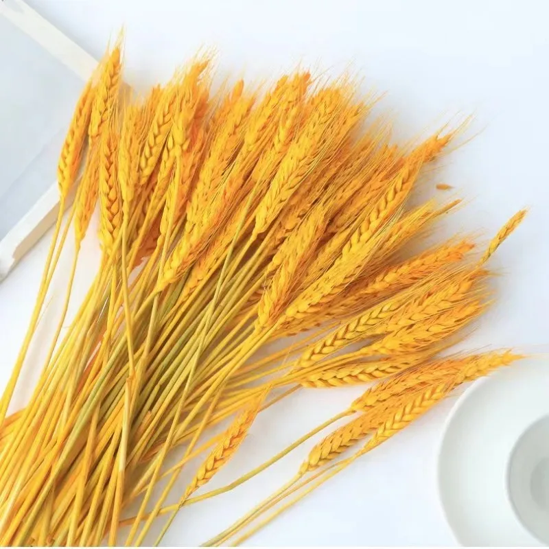 

50Pcs Real Wheat Ear Natural Dried Flowers Artificial Flowers like Real Boho Home Decoration Wedding Gift Mothers Day Gifts 2023