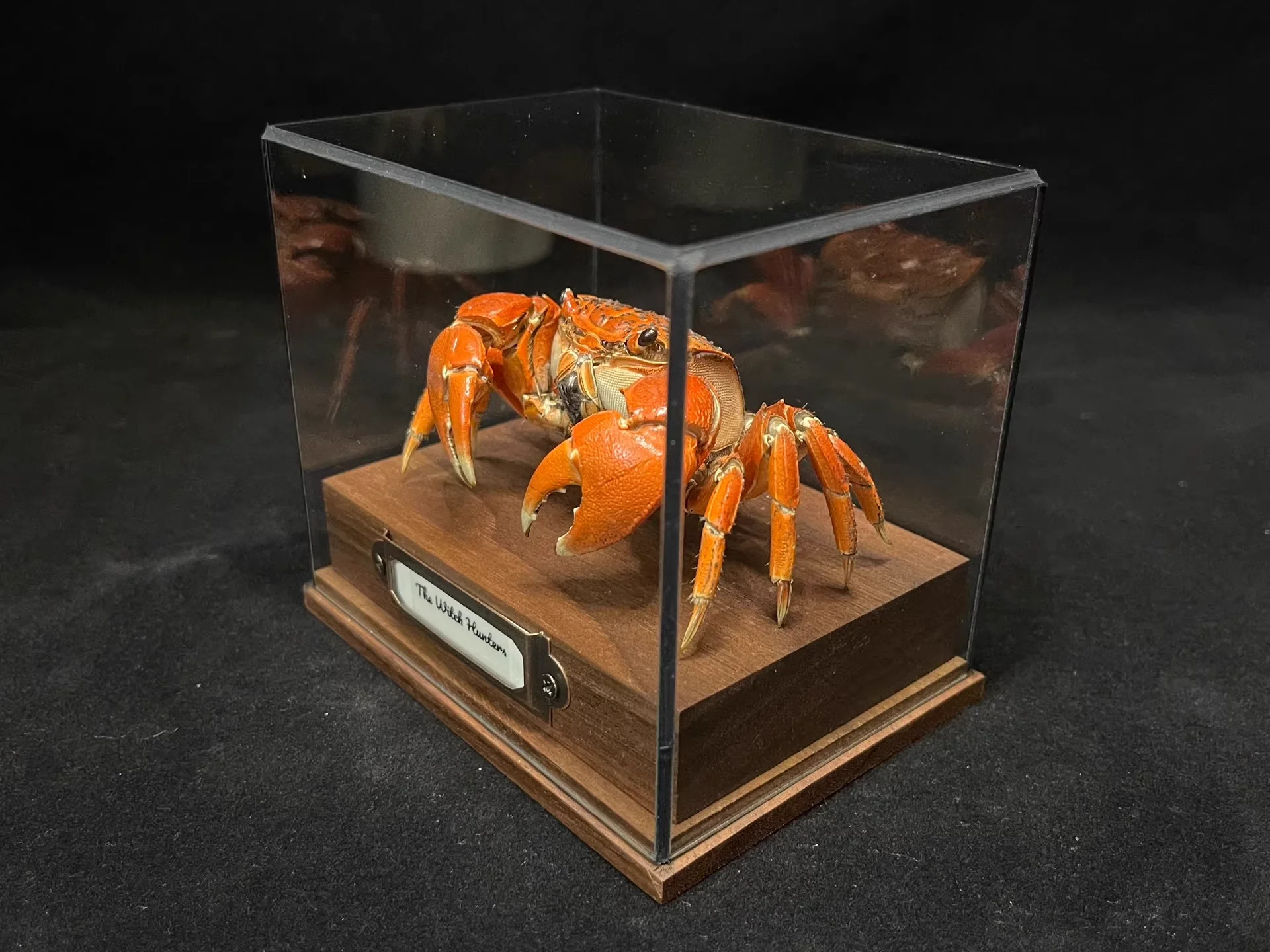 

Статуэтка краба Neosarmatium Smithi