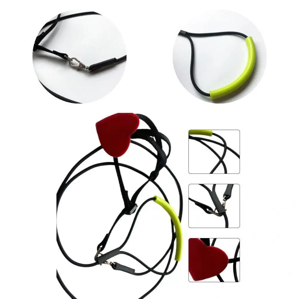 

Bite-resistant Portable Pet Bird Flying Training Traction Leash for Home