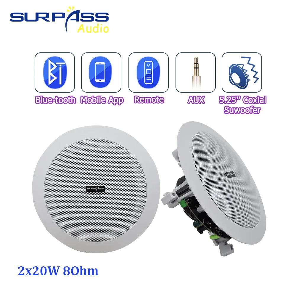 

Bluetooth Active Wireless Ceiling Speaker Built-in Class D Amplifier In Wall 5.25'' Coxial Powered Super Woofer Pro Loudspeaker