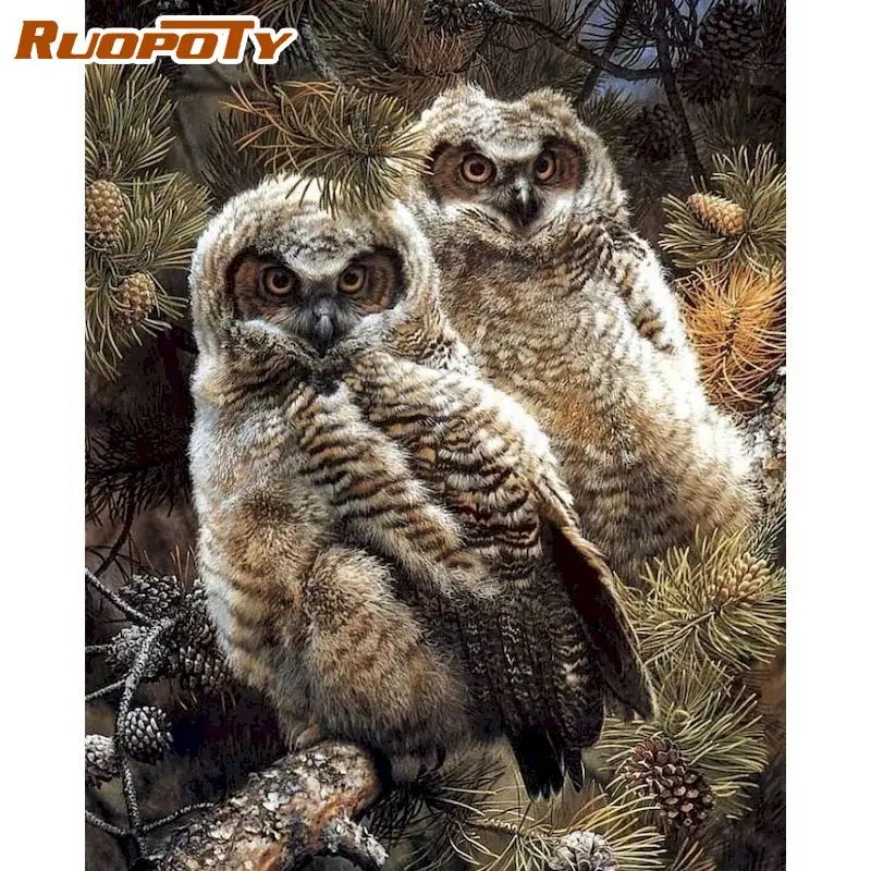 

RUOPOTY 40x50cm Paint By Numbers Two Owls Picture Drawing Animals Frameless Coloring By Numbers Pictures Wall Art Home Decor