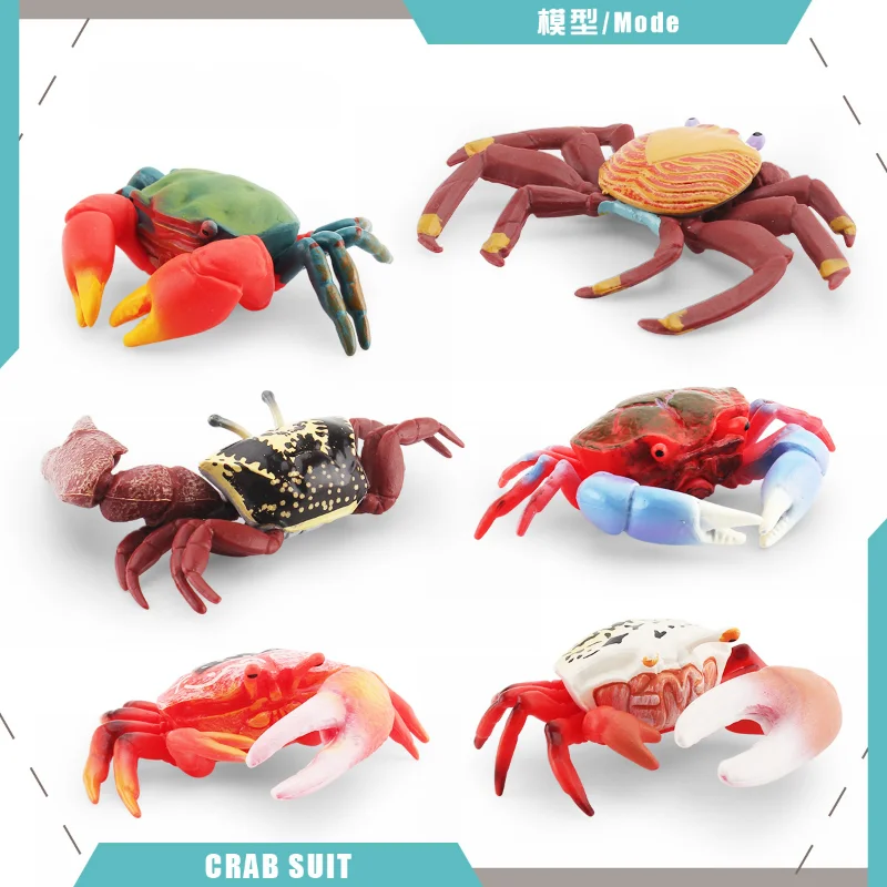 

Имитация Фидлера, краб, краб с отверстием на спине, краб красного цвета, мантис, краб на руку, краб Салли, морская жизнь, краб, модель, украшение, кавайные игрушки