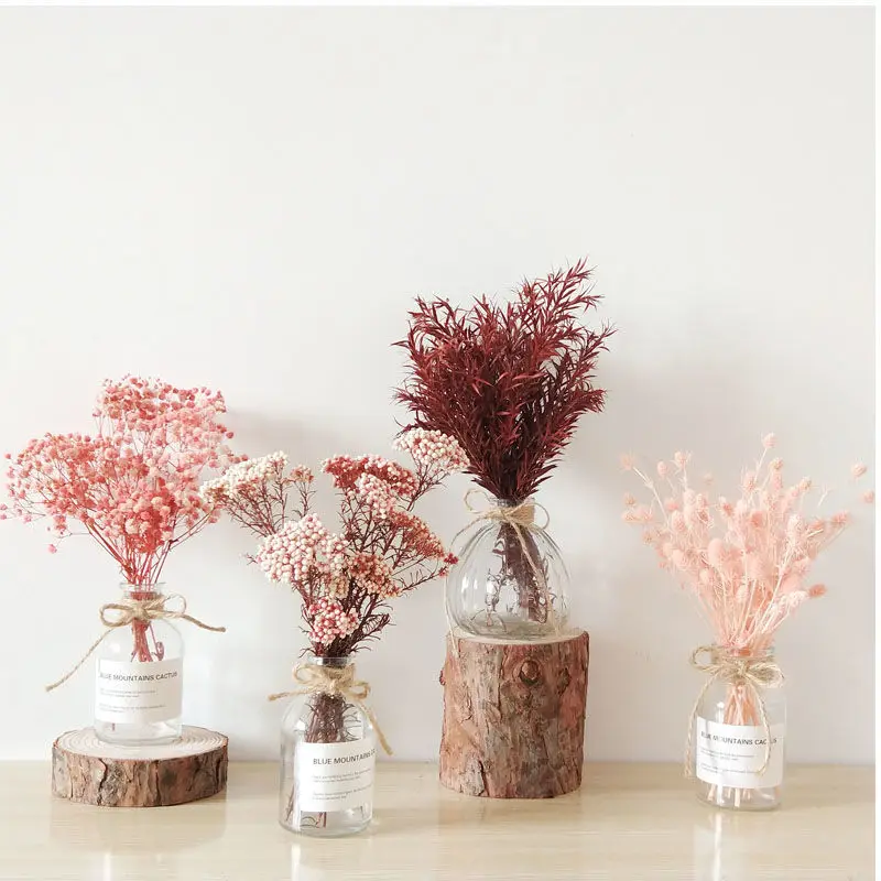 20g Best Desktop Accessories Dried Natural Gypsophil Millet Flowers Rabbit Tail Grass  Wedding  Home Office Table Decoration