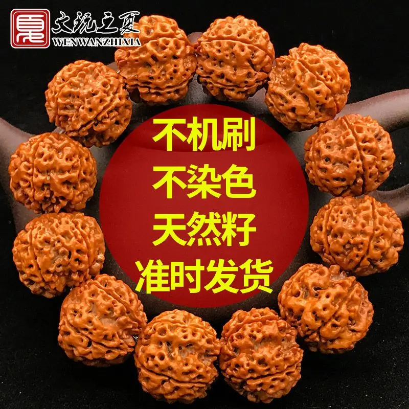 

SNQPFive Petal And Six Fried Meat Double Dragons, Nepalese Great Vajra Bodhi Seeds, Playboy Bracelets, Red Yellow Skinned