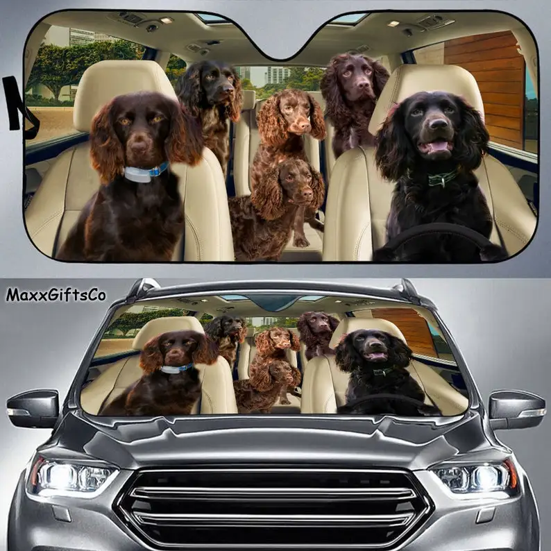 

Boykin Spaniel Car Sun Shade, Boykin Spaniel Windshield, Dogs Family Sunshade, Dog Car Accessories, Car Decoration, Gift For Dad