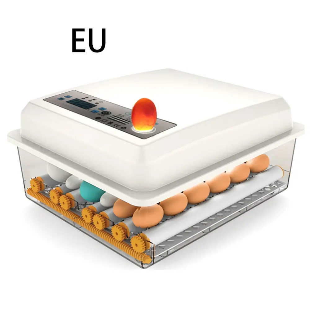 

Poultry Hatchery Machine Hatching Eggs 16 Mini Brooder Small Chicken Bird Egg Incubator Hatchers for Quail Parrot Duck Pigeon