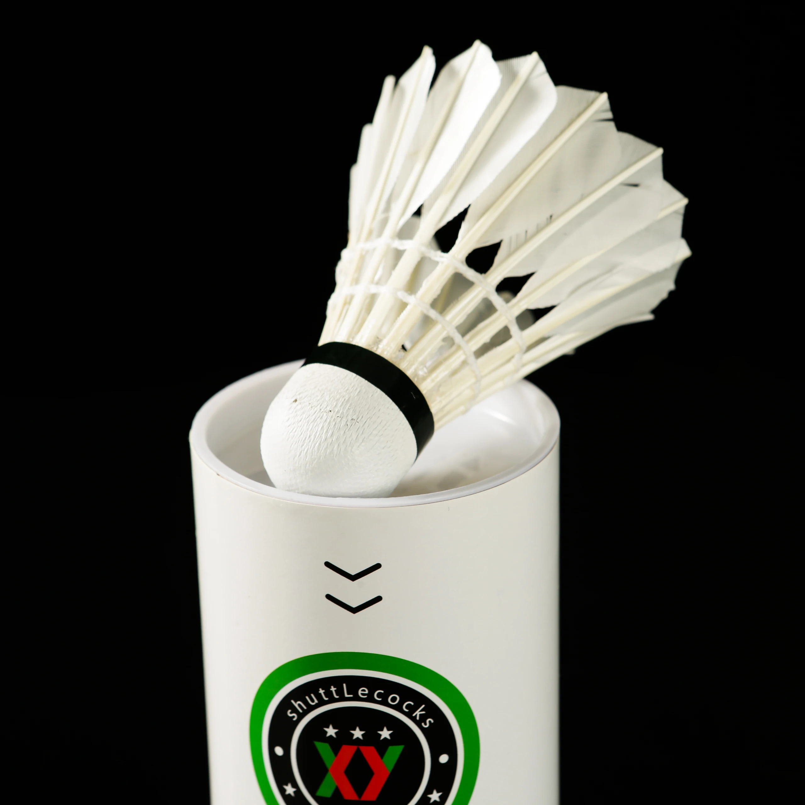 Рисунок 5 - Тренировочный бадминтон для на